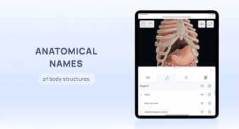 VOKA 3D Anatomy & Pathology screenshot 13