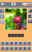 Guess Fruit Berry screenshot 1