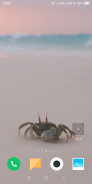 Crab Wallpaper screenshot 14