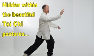 Tai Chi Martial Applications screenshot 6