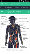 Lymphatic System Reference screenshot 5