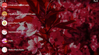 J-Pop Radios Live screenshot 4