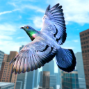 Wild Pigeon Bird City Simulator Icon