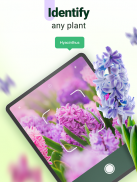 Plantum - 植物识别，叶子、花卉和树木护理 screenshot 13