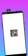 Wolf browser app screenshot 0