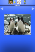 Mix Aminals. Animal morphing screenshot 21