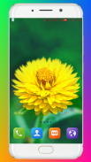 Flower Wallpaper HD screenshot 2