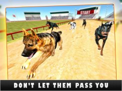 Greyhound K9 Dog Race Sprint screenshot 6