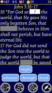 Play The Bible Word Match screenshot 0