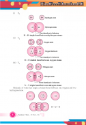 Class 10 Chemistry Term 2 screenshot 3