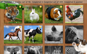 Teka-teki anak hewan dan mobil screenshot 3