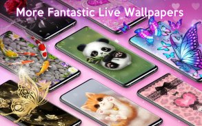 Cute Cat Wallpapers & Themes screenshot 1