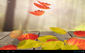 Falling Leaves Live Wallpaper screenshot 7