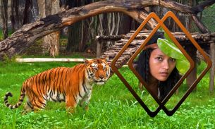 Tiger Photo Frames screenshot 5