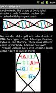 DNA Replication screenshot 4