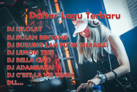 DJ LELOLAY - BULAN BINTANG Remix Offline screenshot 2