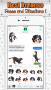 BernerMoji - Bernese Emojis screenshot 12