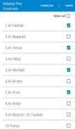Islamic Pro / Quran,Pray Times screenshot 3