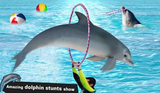 Dolphin Water Stunts Show screenshot 12