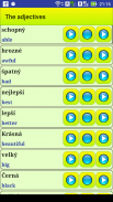 Learn Czech language screenshot 12