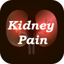 Kidney Pain Symptoms and Treat