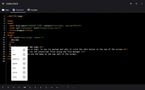 WebCode - html, css, js ide screenshot 19