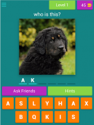 dog breeds quiz screenshot 6