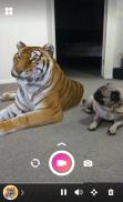 Holo – Holograms for Videos in Augmented Reality screenshot 5