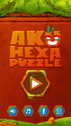 Aku Hexa Puzzle screenshot 2