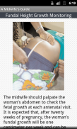 A Midwife's Guide screenshot 1