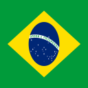 History of Brazil Icon
