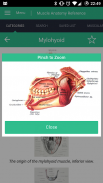 Muscle Anatomy Reference Guide screenshot 9