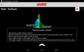 HEART - Digital Anatomy Atlas screenshot 5