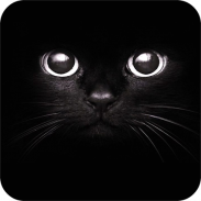Black Wallpaper screenshot 15