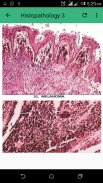 Practical Pathology screenshot 3