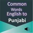 Common Word English to Punjabi Icon