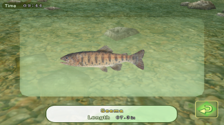 3D 假蠅釣魚 screenshot 11