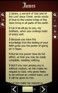 Bible Offline in Basic English screenshot 2