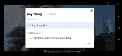SubDictionary Video Player screenshot 3