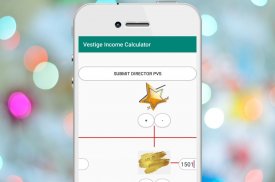 Vestige Income Calculator screenshot 5