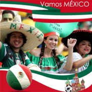 Mexico flag photo editor screenshot 7