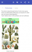 Cacti screenshot 13