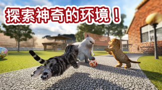 模拟猫咪 Cat Simulator screenshot 6