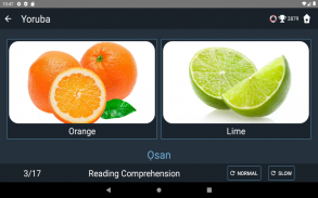 Yoruba Language Tests screenshot 15