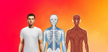 Body Scanner - Xray Scanner screenshot 1