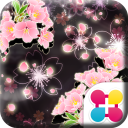 Cheery Blossom Mystic Theme Icon