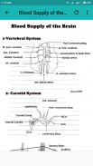 Neurology Basics screenshot 1