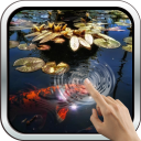 Koi Fish in the Pond Icon