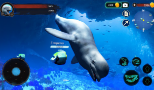 The Beluga Whale screenshot 10