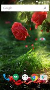 Red Rose Flower Live Wallpaper screenshot 6